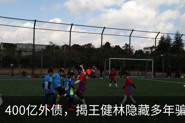 400亿外债，揭王健林隐藏多年骗局，因此独子王思聪走“不归路”